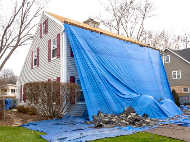 Best Hoarding Cleanup  in South Burlington, VT